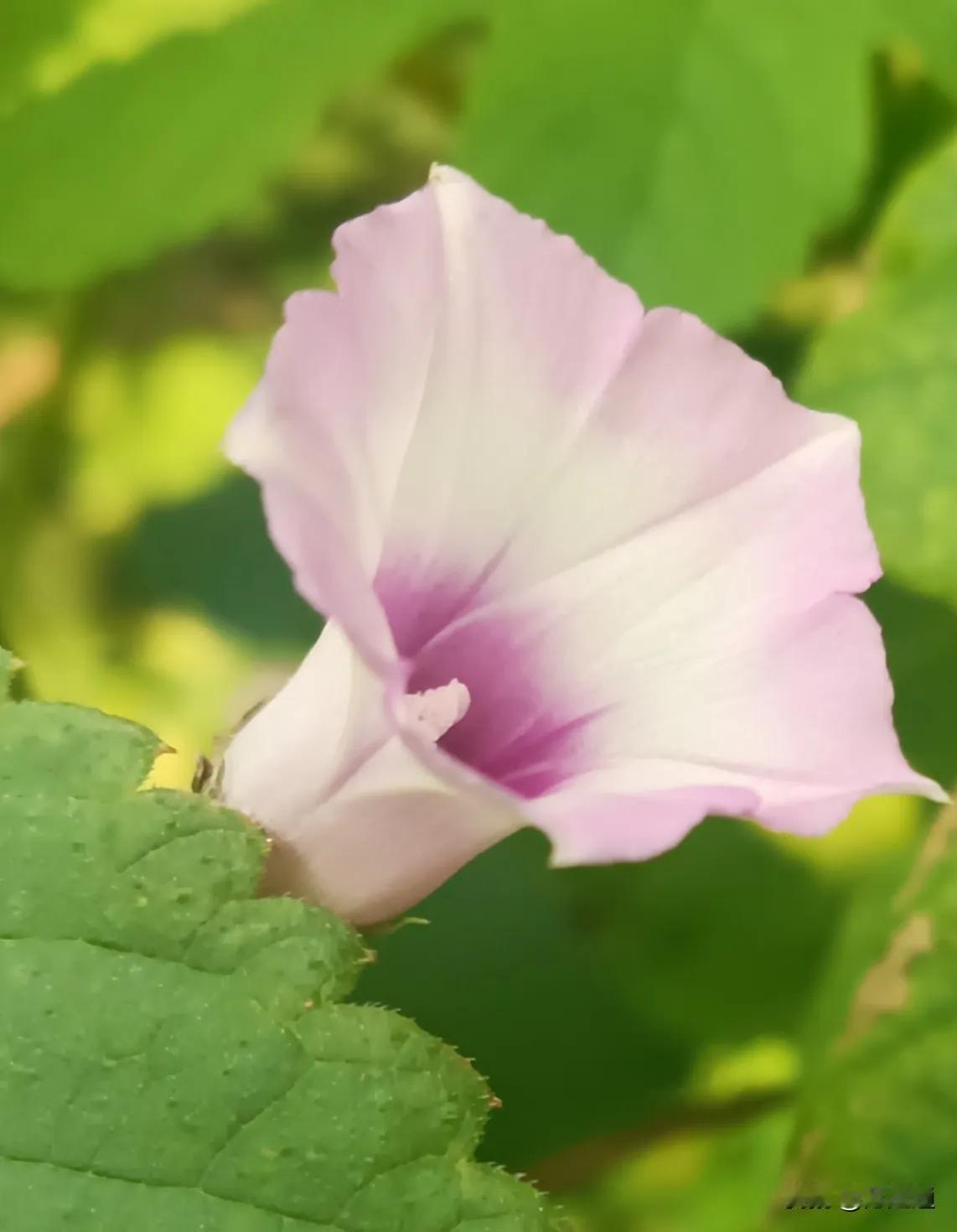 人这一生钱是变化的存钱不一定能富离开了钱人活着就会失去保碍
