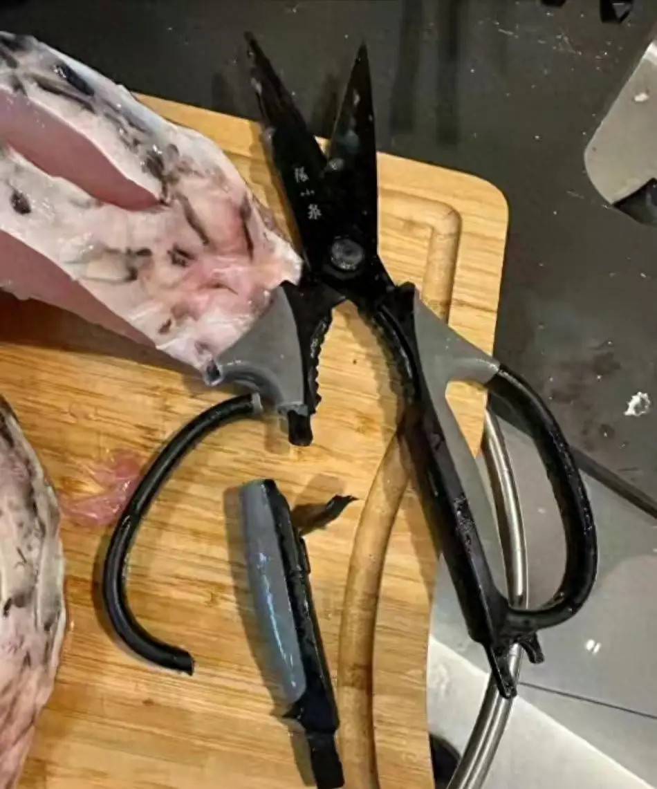 张小泉客服回应剪刀手柄断裂【剪鲜鱼时剪刀手柄突然断裂遭吐槽，张小泉客服回应】张