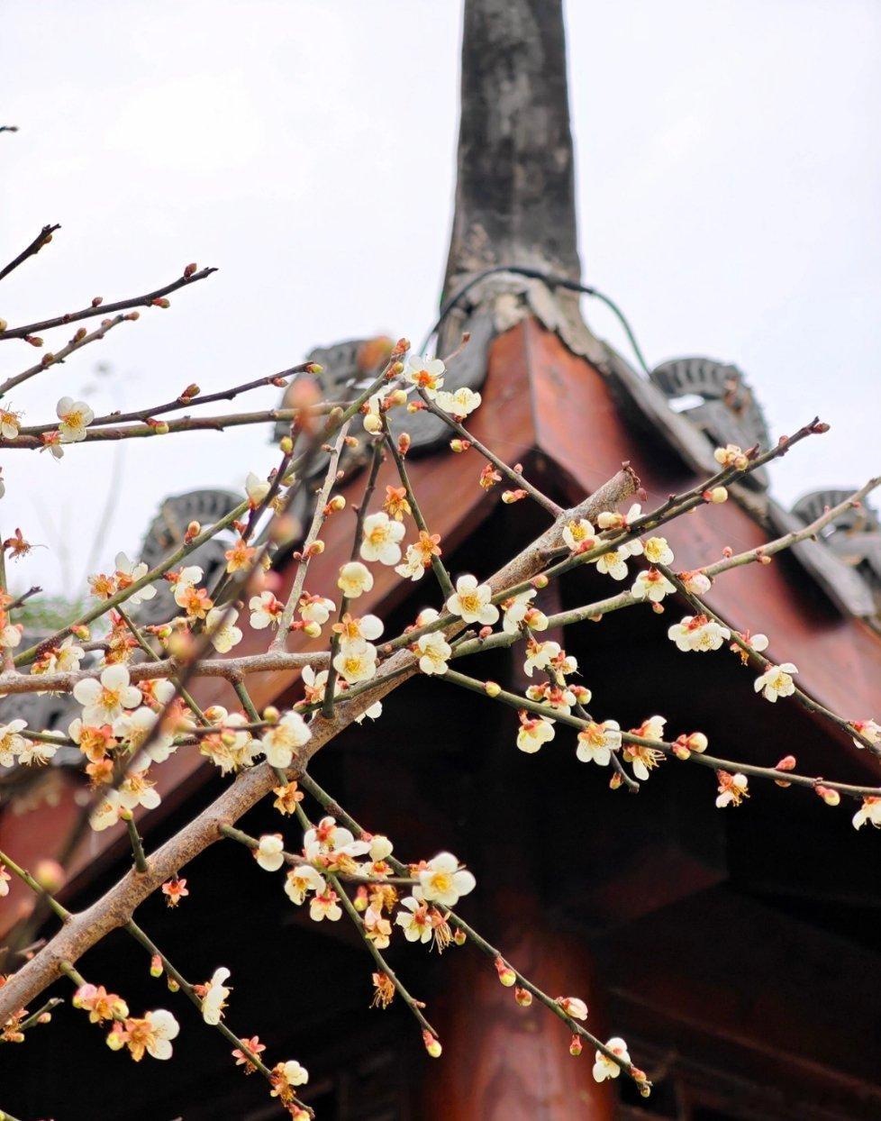 蒙恬在自杀前留下的千古名言是:“自吾先人，及至子孙，积功信於秦三世矣。今臣将兵