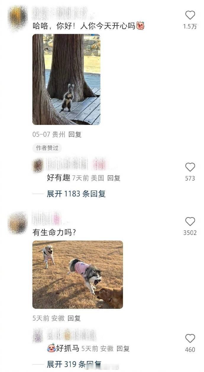 一些充满生命力的瞬间​​​