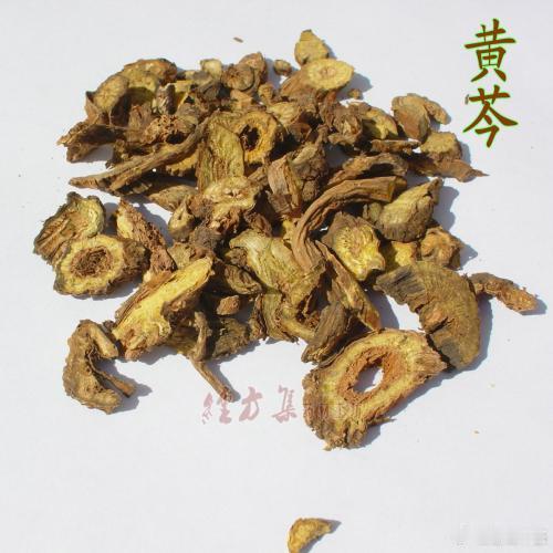 诸病主药；去痰用半夏，热痰加黄芩，风痰加南星；去上焦湿及热，须用黄芩，泻肺火故也