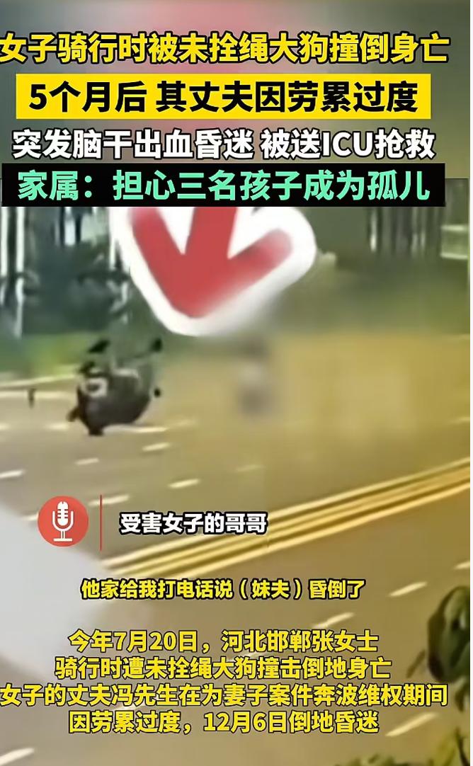 时隔一年，又上热搜了!河北邯郸，38岁女子骑车时被石某某未拴绳的大型犬撞倒身
