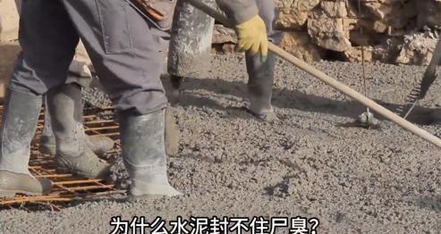 为什么水泥封不住尸臭味，但是葡萄树下却能封住？水泥这玩意儿，表面看着硬邦邦的