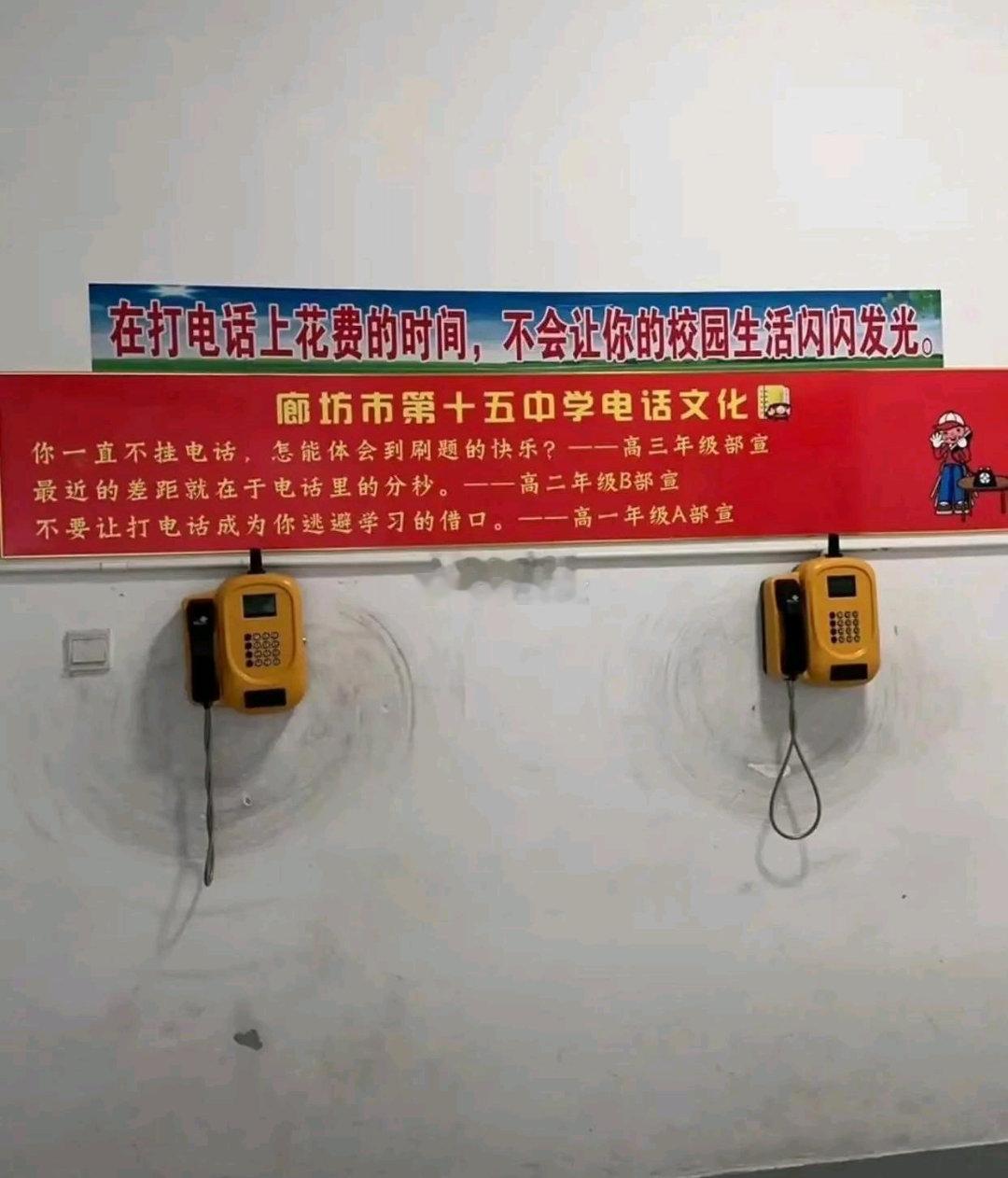 这就是中式教育吗？​​​