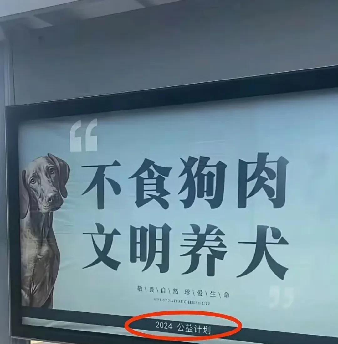 狗肉滚三滚，神仙坐不稳！为什么不能吃...