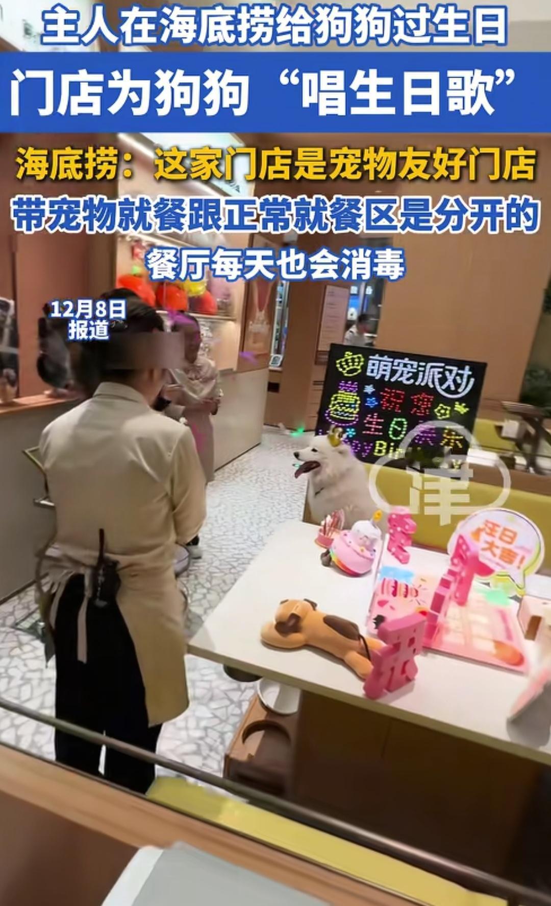 狗主为了给自己的爱犬过生日，人狗一起在海底捞聚餐。此情此景，可以用八个字概括∶群