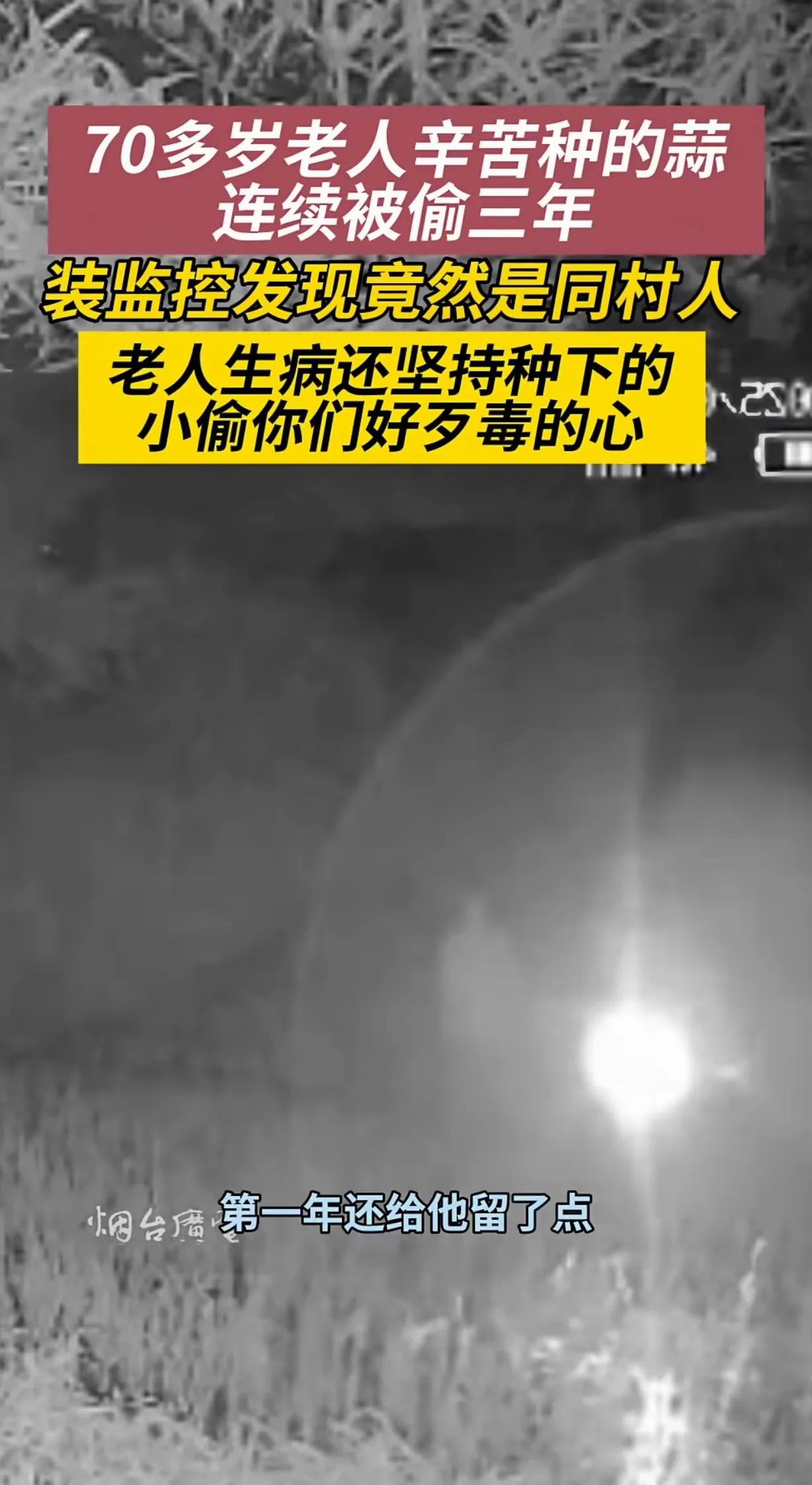 山东烟台，一70岁老人种大蒜，连着3年被偷，第1年小偷还给他留了一点，第2年竟然