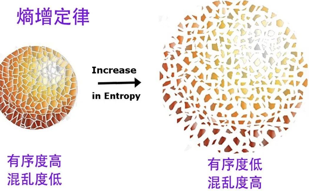 修好人道：在熵增世界里做个“逆熵”的聪明人在这个快节奏、充满诱惑的世界里，人