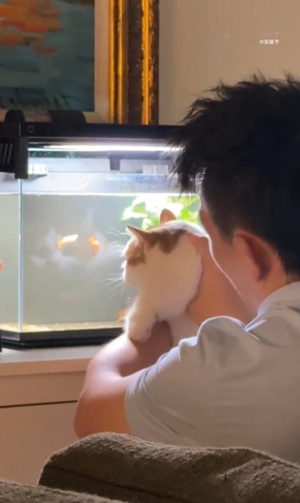 张馨予家里已经生了100多条小鱼了三步之内必有解药，给家里的猫猫加餐行不行[喵喵