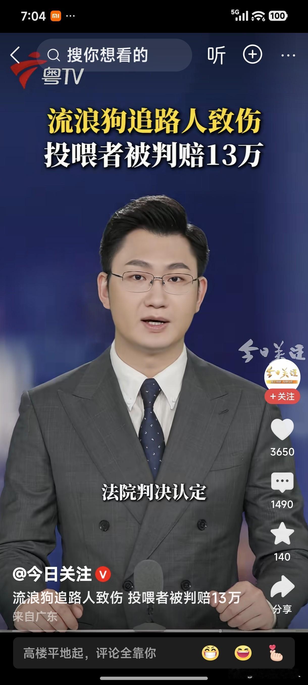 “投喂”流浪狗，狗追人致伤，投喂人该不该负责任！不得不说一句，成群结队的流浪狗