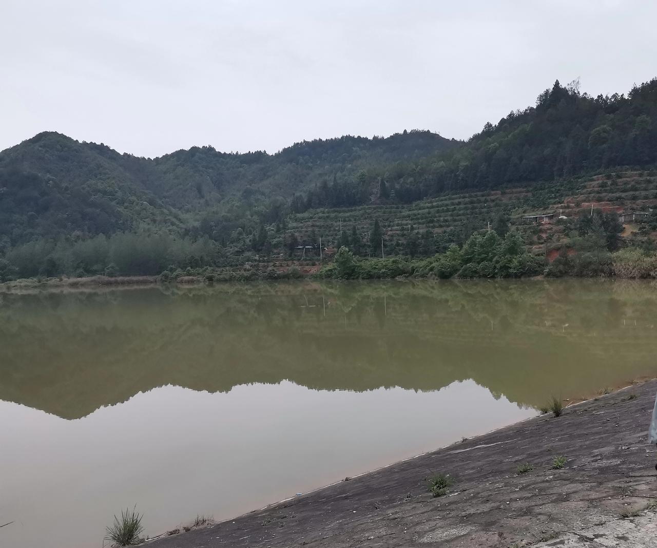为什么普通老百姓的孩子会选择读师范？是因为认知决定了就业选择，父母眼中都希望自