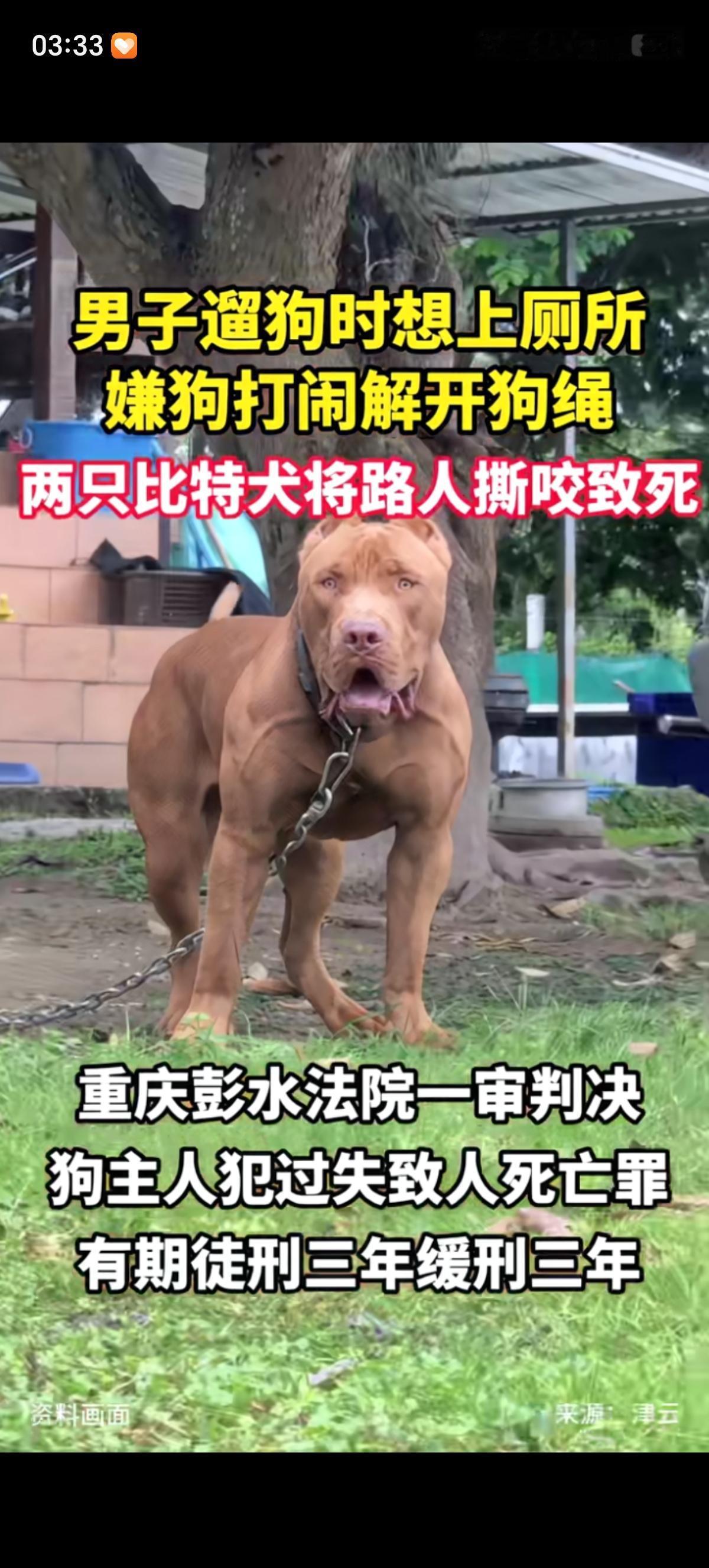 男子靠养比特犬赚钱，带着两条狗遛弯时想上厕所却嫌弃狗太吵了，把狗链解开自由活动了