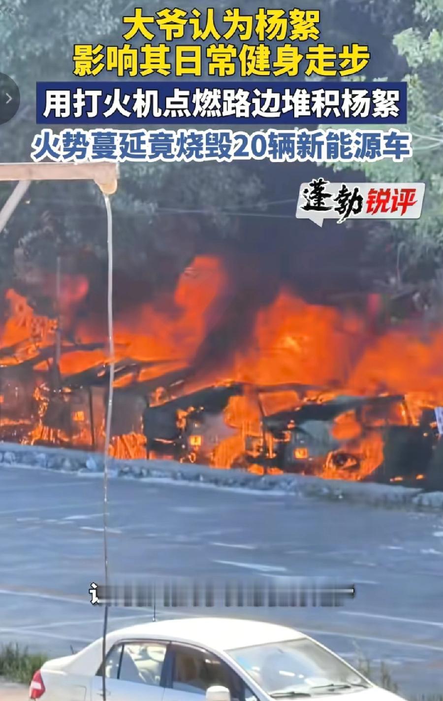大连74岁大爷点燃杨絮烧了20辆新能源车！价值至少200万！认为妨碍健身，涉嫌失