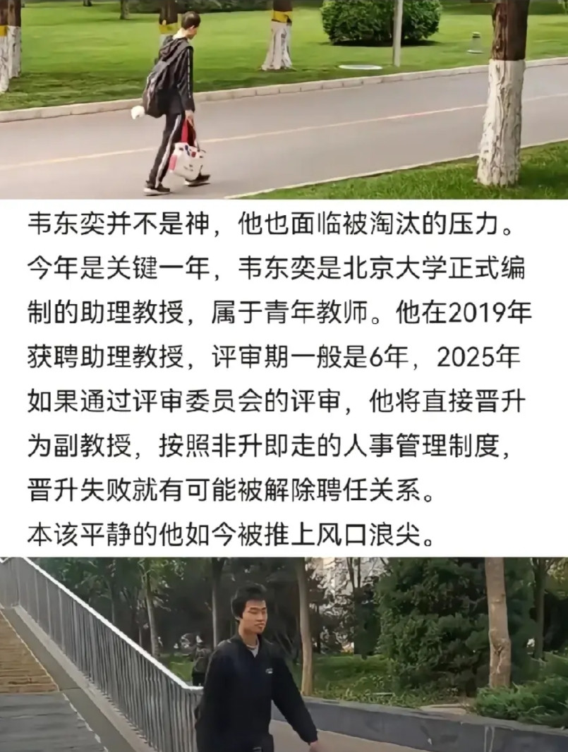 从目前韦东奕的种种迹象来看，我觉得他不是太适合北大的工作环境，这种模式可能会毁了