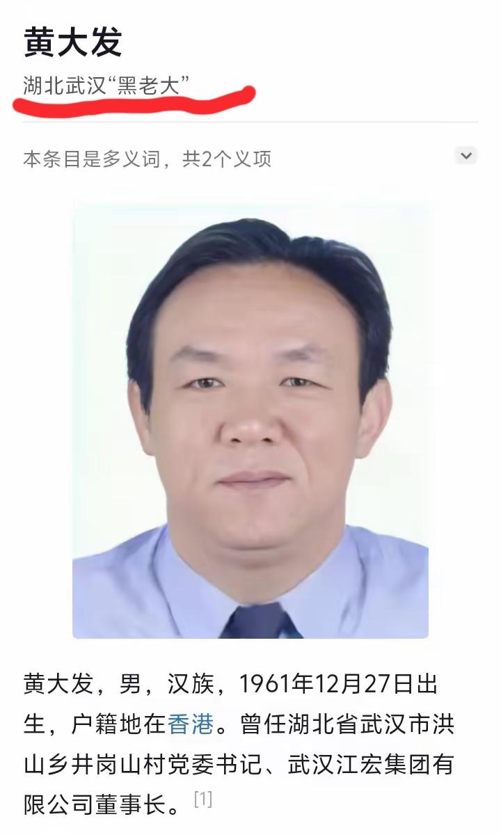 武汉黄大发，他的案子终于结了！大块人心。不知道还有没有人记得野芷湖边上的板桥村
