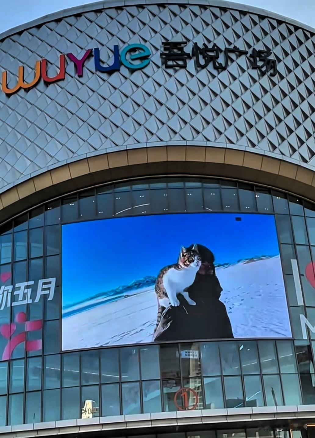 刚刷到网上挺吾悦广场的消息，我的第一反应是吾悦广场在哪里，发生了什么事情？看的一