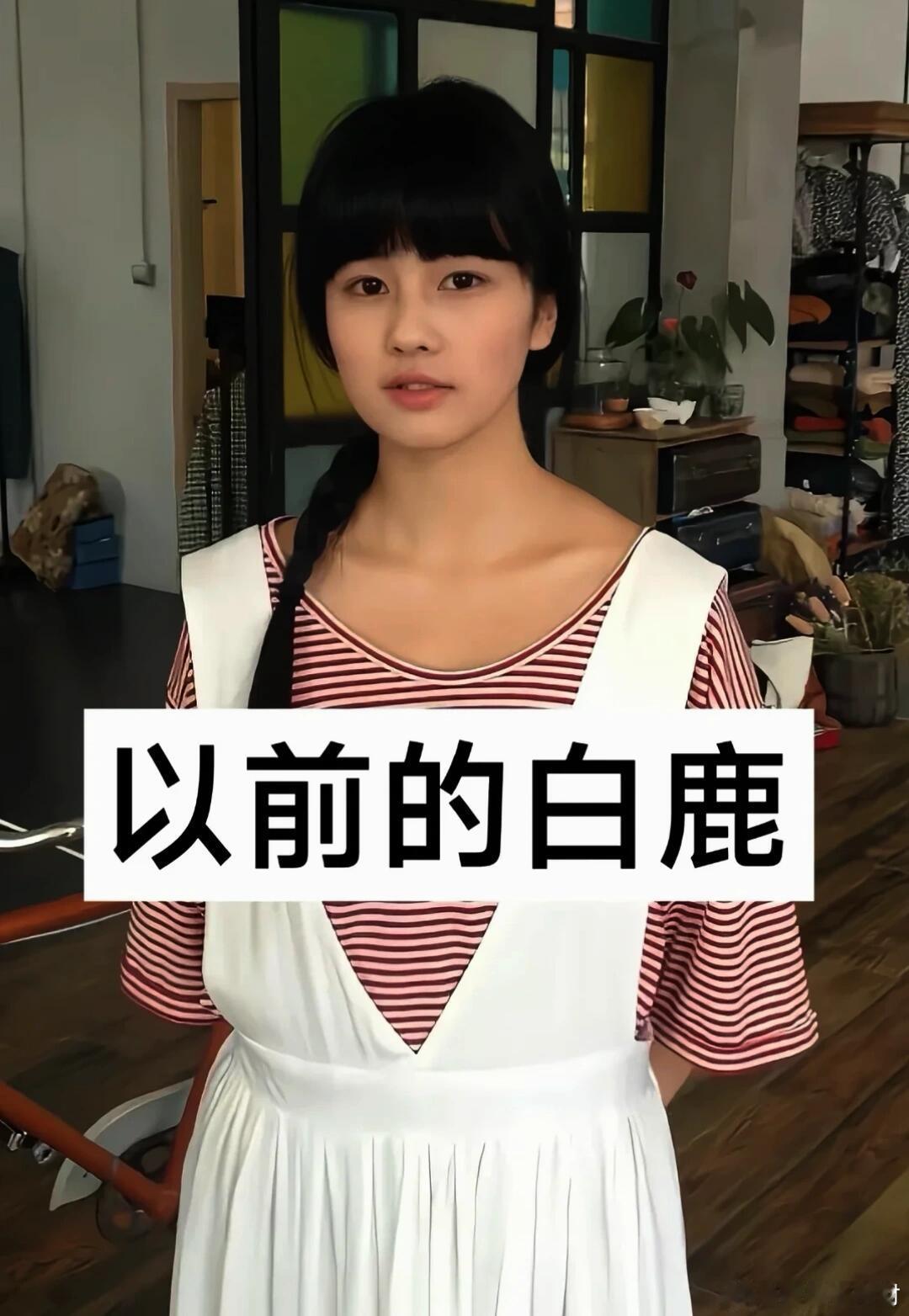考古白鹿早期照片