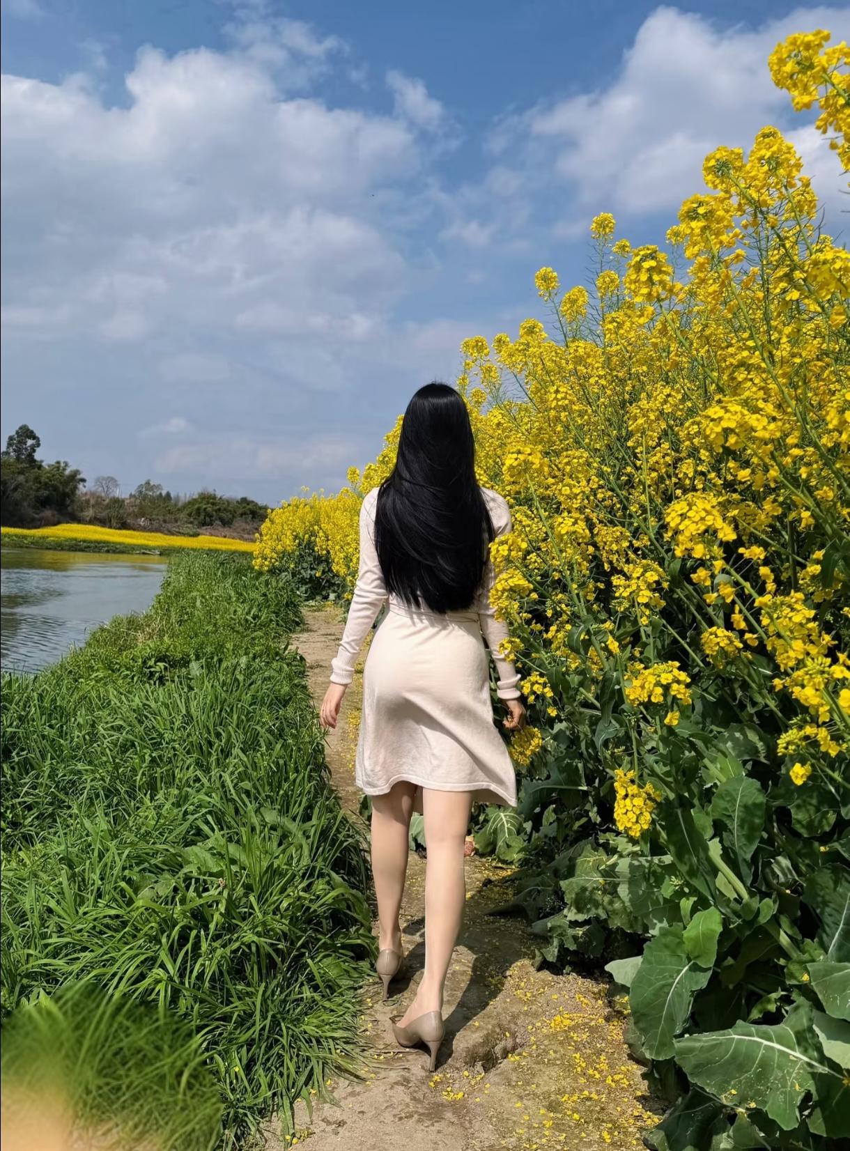 再不来看，油菜花就都谢了~