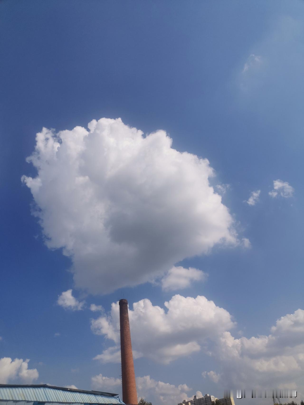 记录我的2026分享你随拍的风景