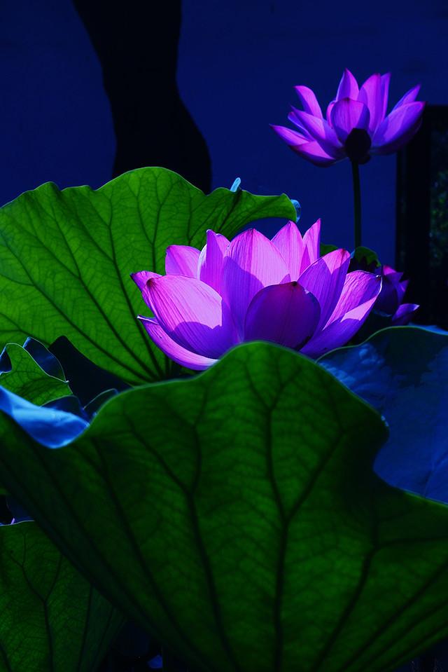 碰到一个南京一中的学生家长，跟我聊了半天，意思就是很急，希望得到我的帮助，我就问