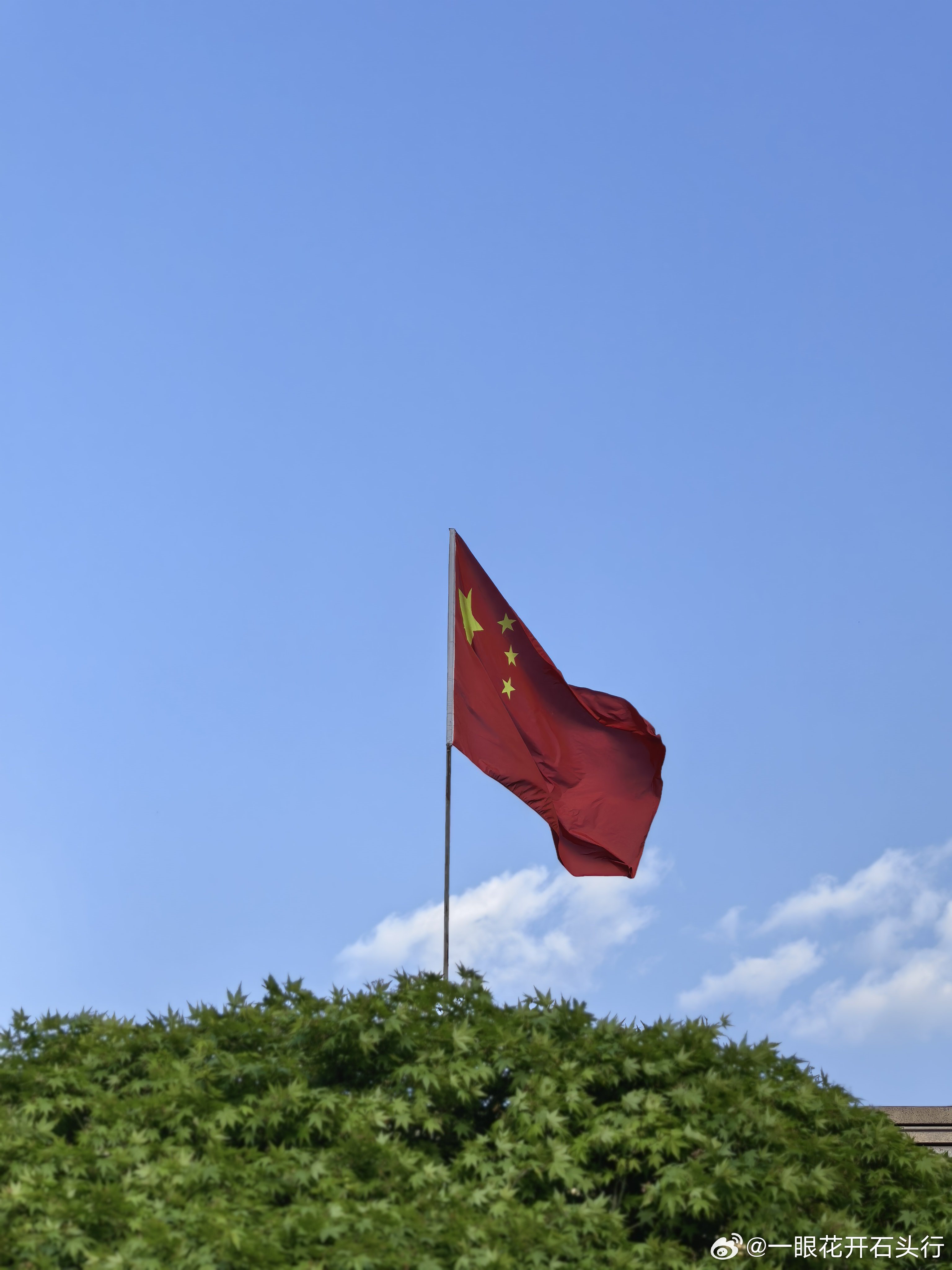 一语成谶，是潜意识的清醒与无奈。