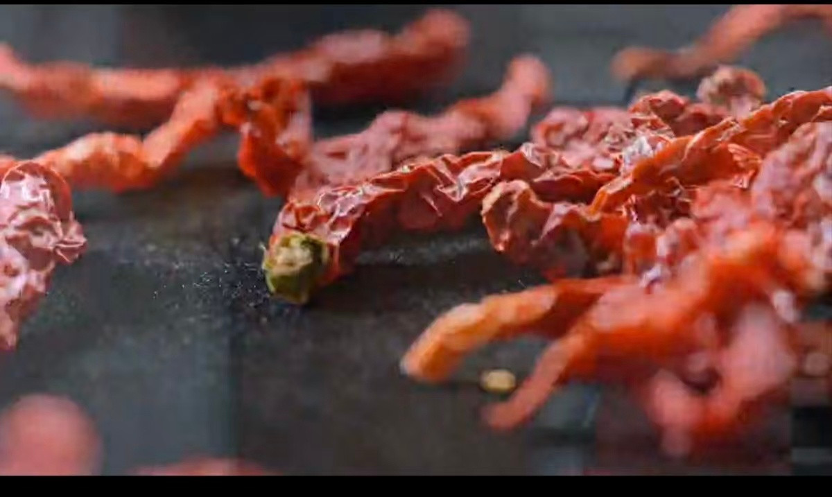 贵州辣椒有几十种各有各的脾气被中国美食大会狠狠种草贵州辣子鸡！几十种辣椒碰