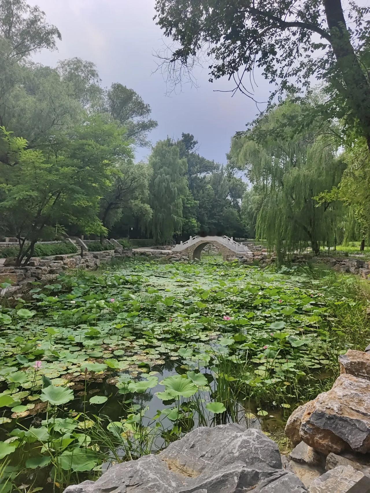 这是北京最低调的公园了吧，要山有山，要水有水，要花有花，要古建有古建，但是却没有