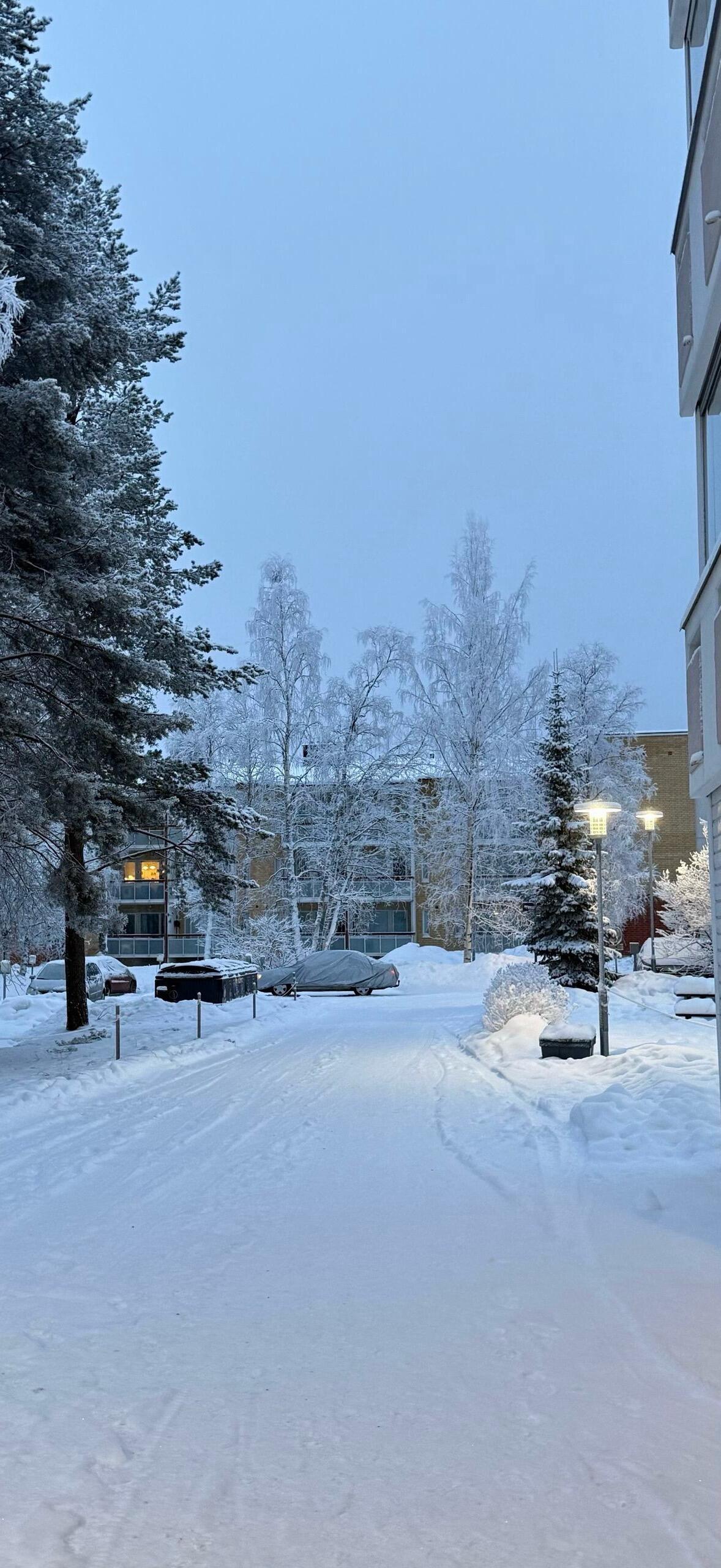 𝐒𝐡𝐚𝐫𝐞丨ins氛围雪景壁纸❄​​​