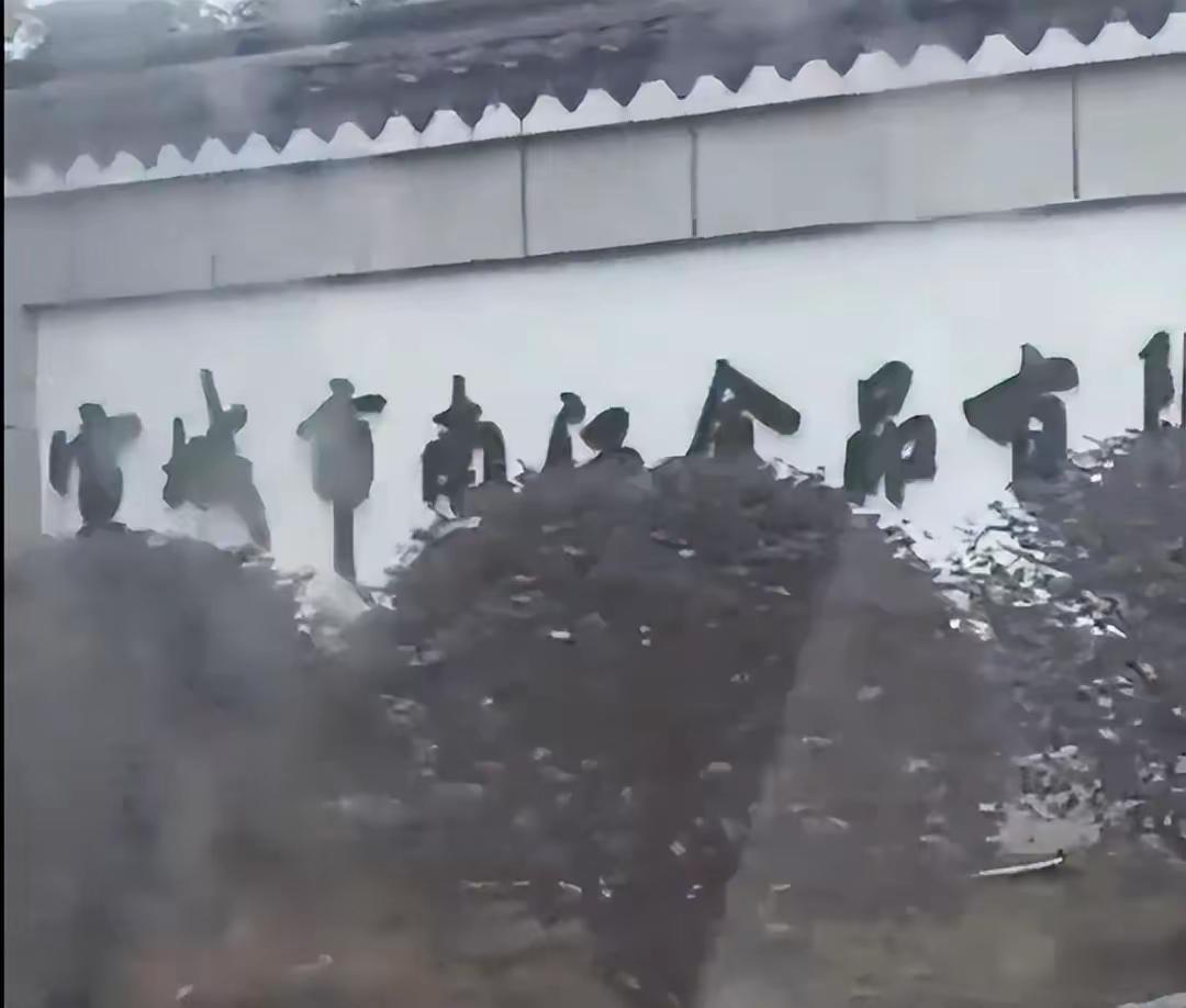 你的最爱成了全网最臭，网红锅巴和臭鞋垫同烤入味，还吃吗？谁能想