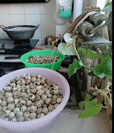 这个鹌鹑蛋看着挺好吃的样子[狗头]