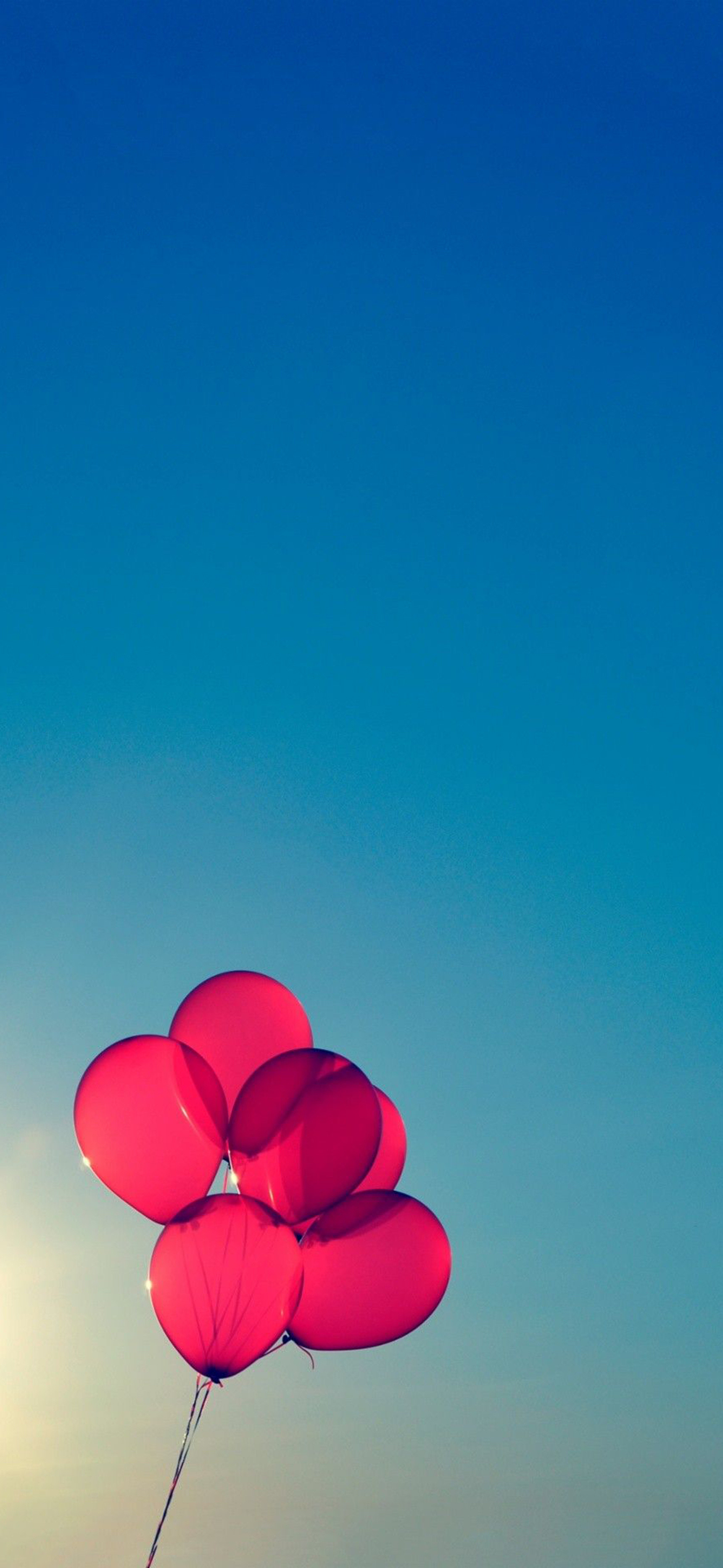 莱分享今日iPhone壁纸分享