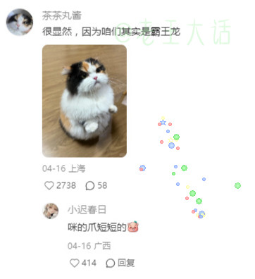 你是好奇喵喵吗？