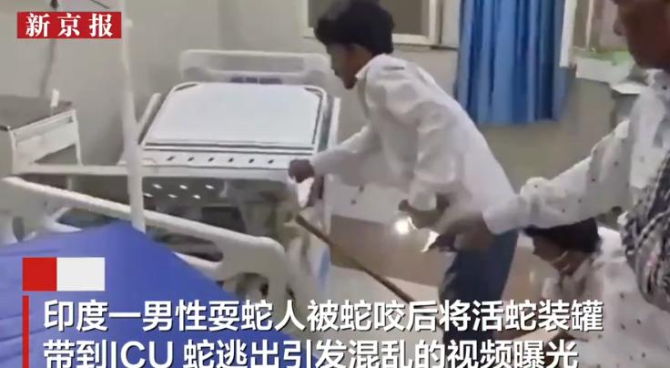 印度，一名耍蛇人被蛇咬伤后，竟将咬他的活蛇装进塑料罐一起带进ICU，医护人员反复