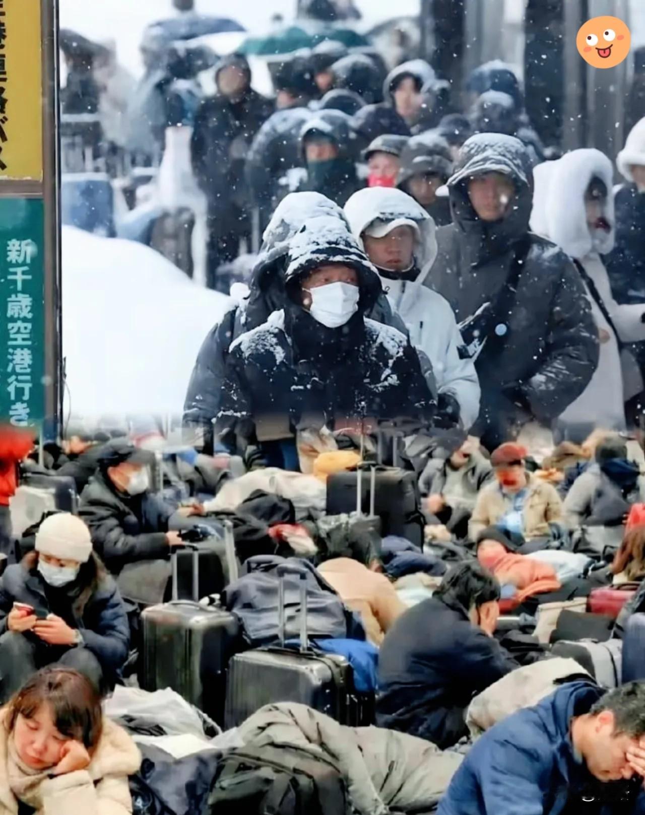 笑掉大牙真的一点都不夸张！北海道这帮游客的操作，属实是把脸丢到国外了！大使馆