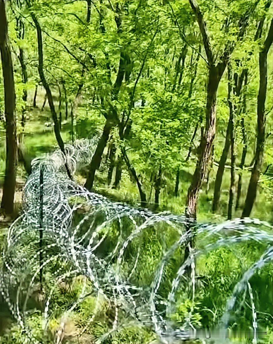 泰山文旅已经发文致歉了，并表示考量不周，沟通不足。目前已经开始紧锣密鼓
