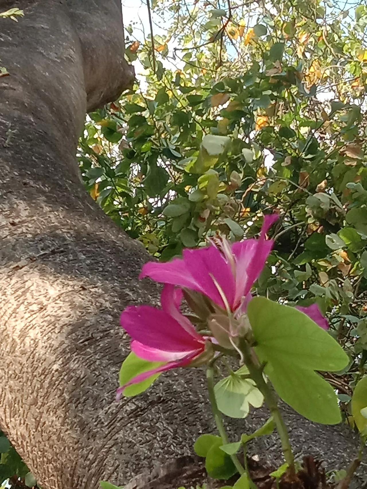 一位医生说：“恢复精力最快的方法，就是每天晚上坚持，在空闲时放空自己，什么