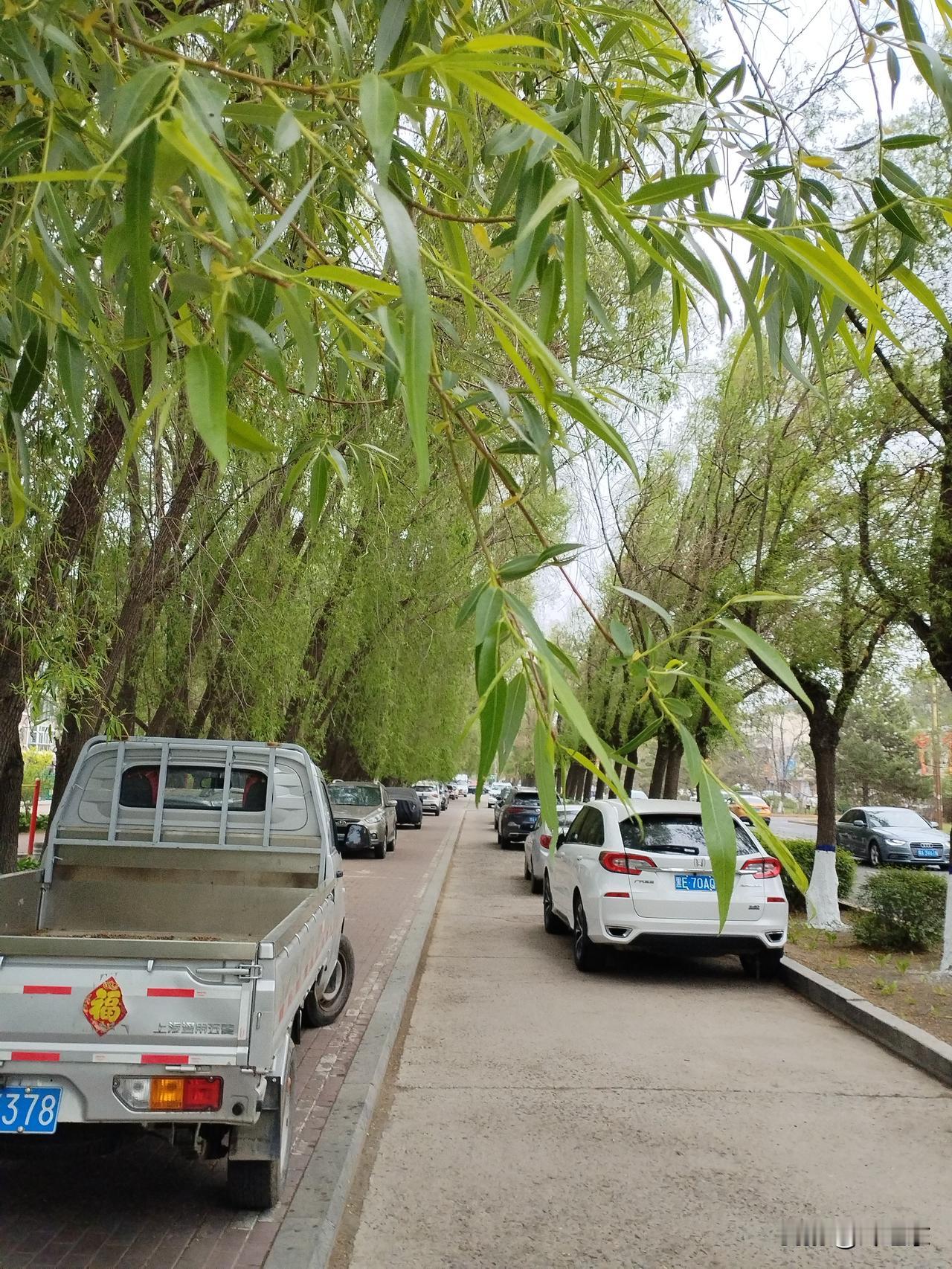 会不会因为降价潮袭来而购买油车？我的回答是不会。原因有两个。