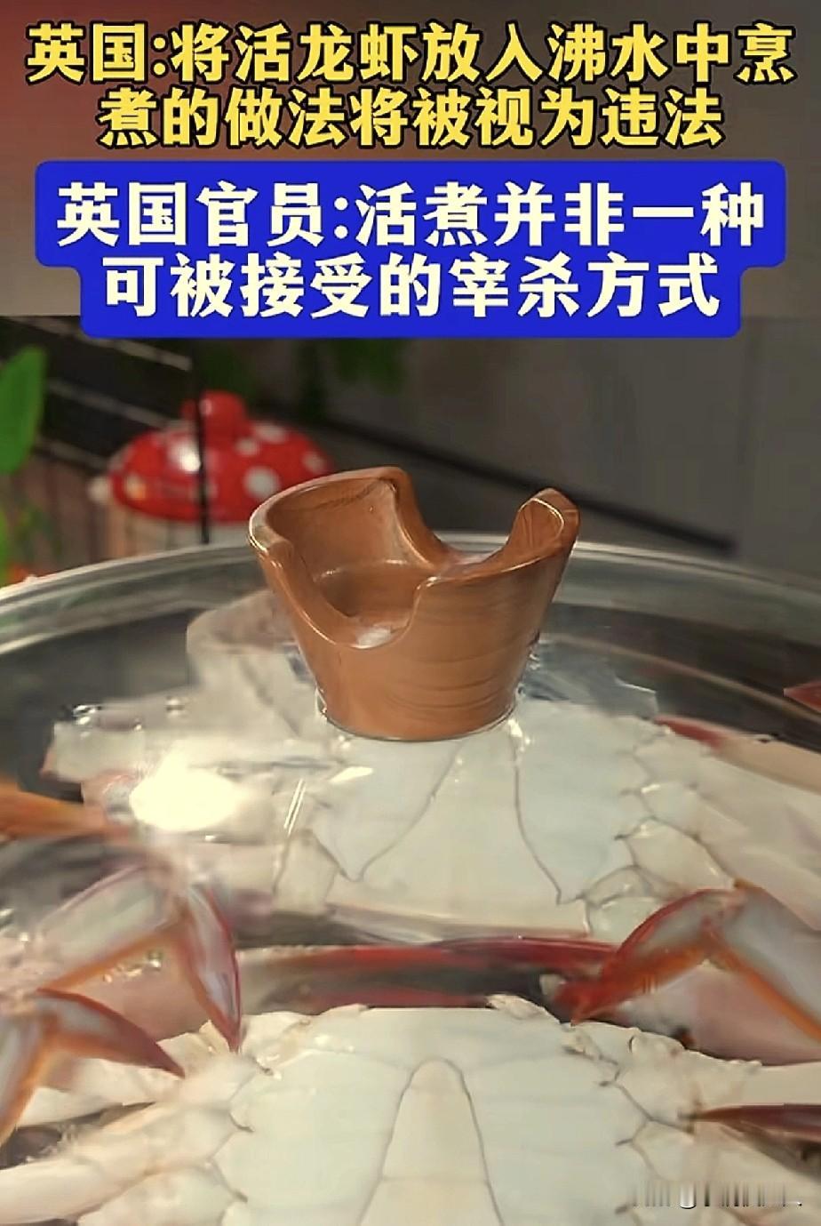 这世界真是一个“巨大的草台班子”！英国的“专家”，出于“虾道主义精神”，禁止