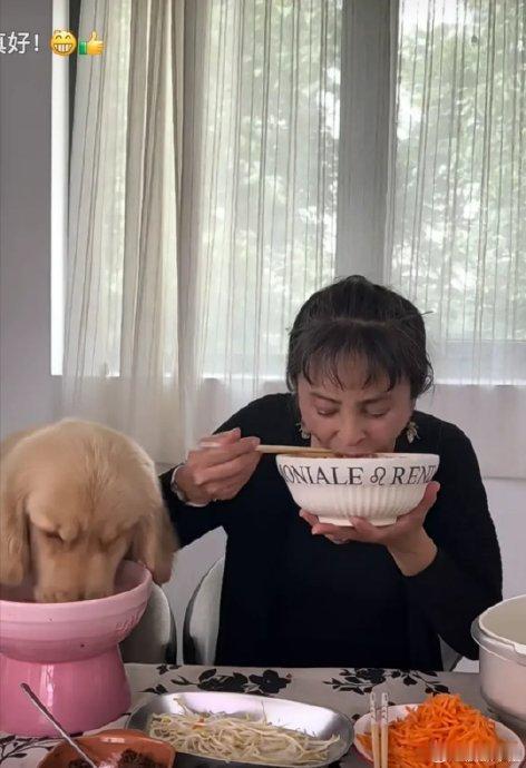 李勤勤晒周海媚爱犬近况最近，娱乐圈又有一则消息引起了大家的关注，李勤勤在社交平台