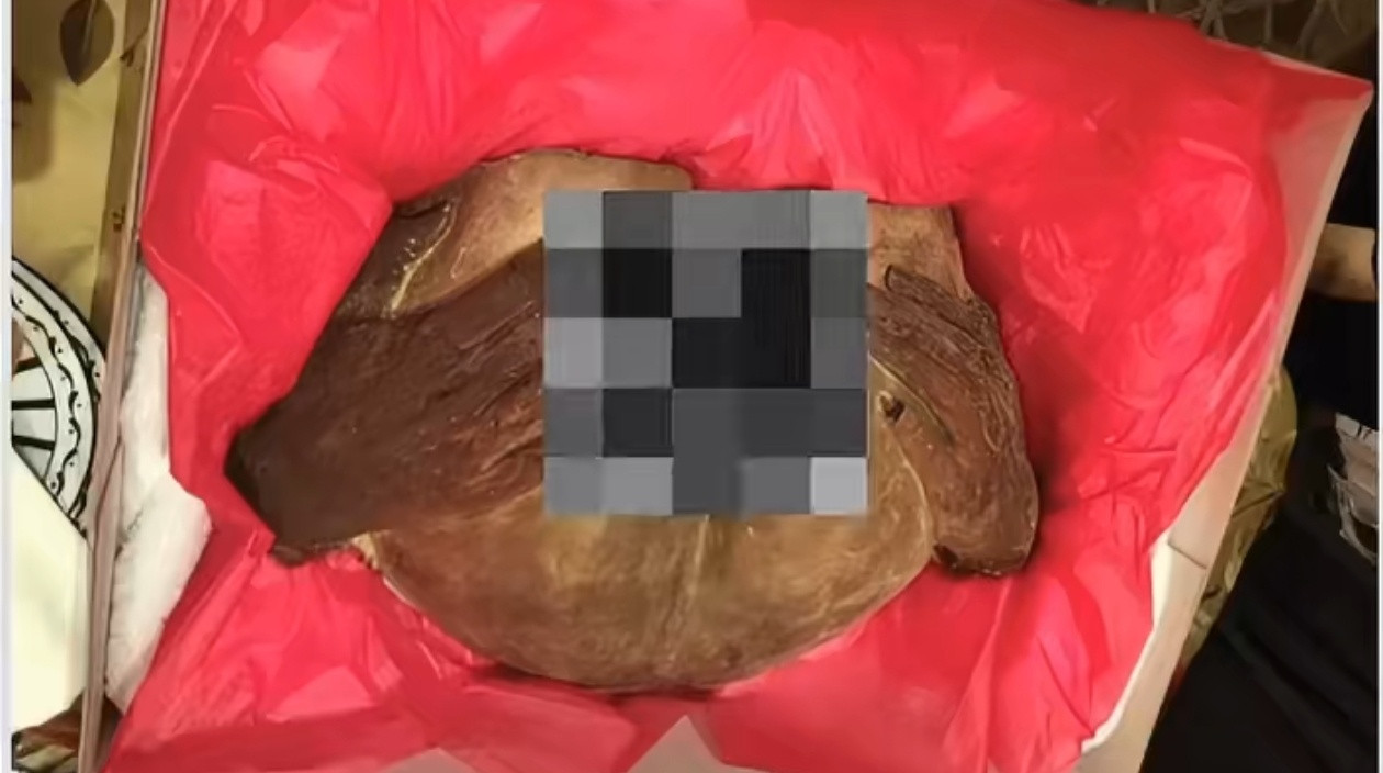 爱泼斯坦豪宅悬挂不少裸女画像又有新照片被发现，爱泼斯坦案再曝疑似经过冰冻的女性人