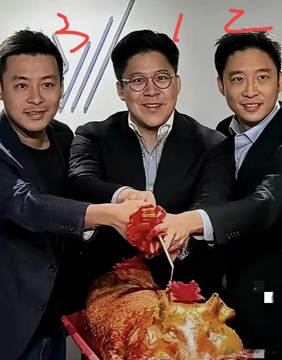 都说霍家的三个儿子同根不同命，这话一点不假。大哥霍启刚沉稳低调，学业出色，投身