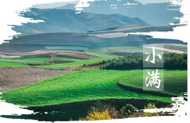 "小满见三象，遍地起坟头"，明日小满，指的是哪3象？早防备家人们，明日（5