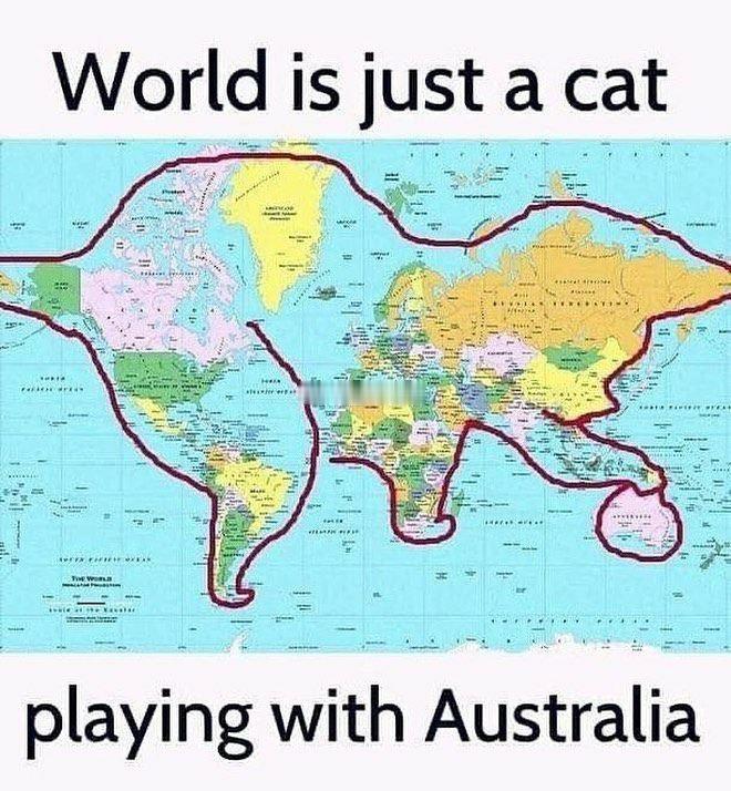 Worldisjustacat​​​