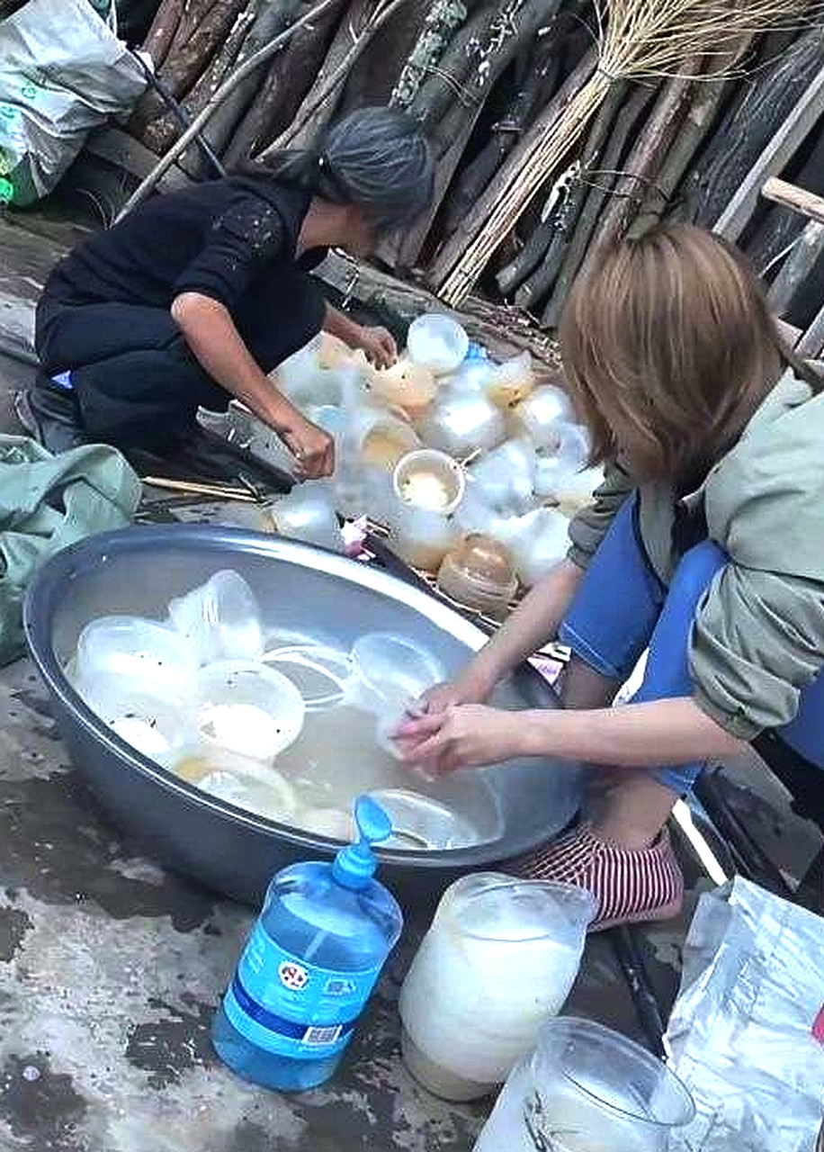 母亲说可以卖钱，犟不过就来了