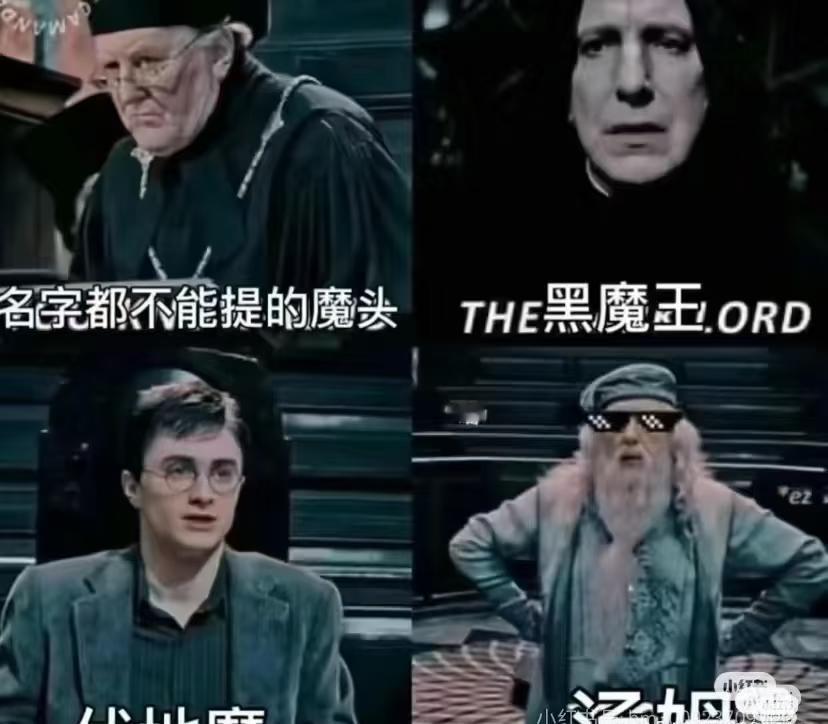 今日欢乐梗图来啦哈利波特梗图