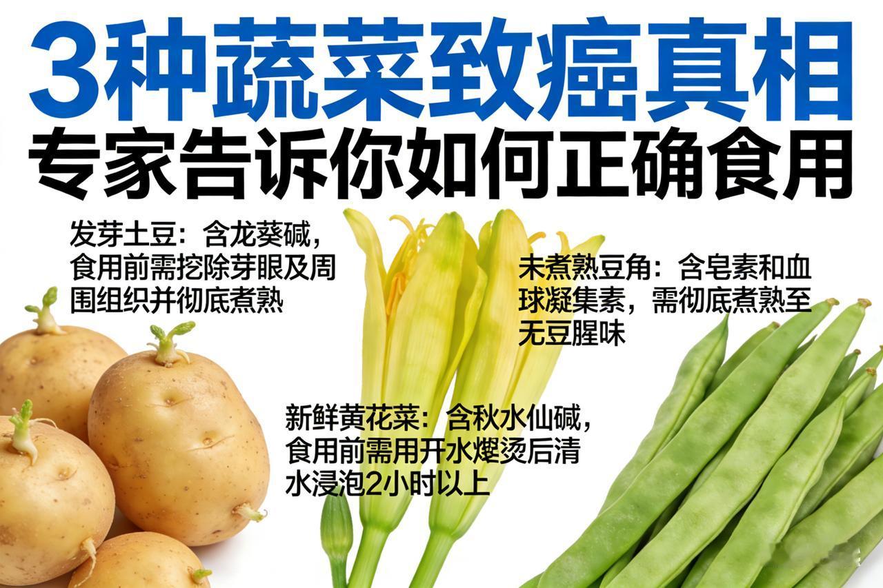 3种蔬菜致癌真相：专家告诉你如何正确食用这是一篇融合了权威机构背书、硬核数据