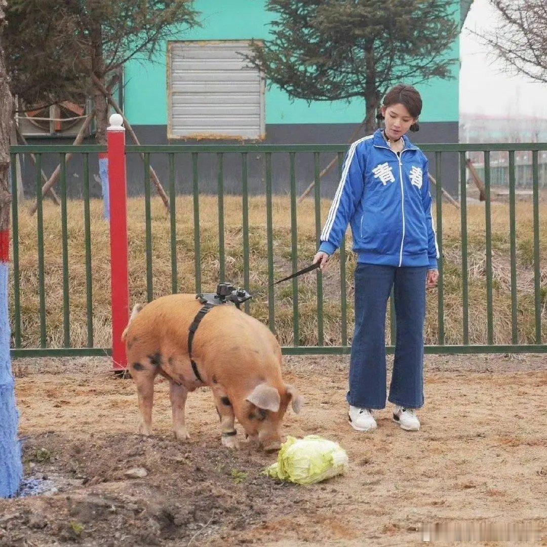 我本来以为发现陈瑶干什么事都不惊讶了…