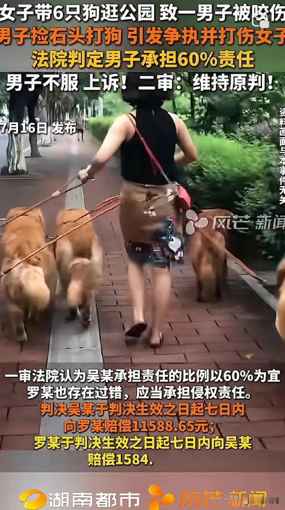 女子带着6只狗逛公园，结果致使一名男子被咬伤。男子捡起石头打狗，从而引发争执，还