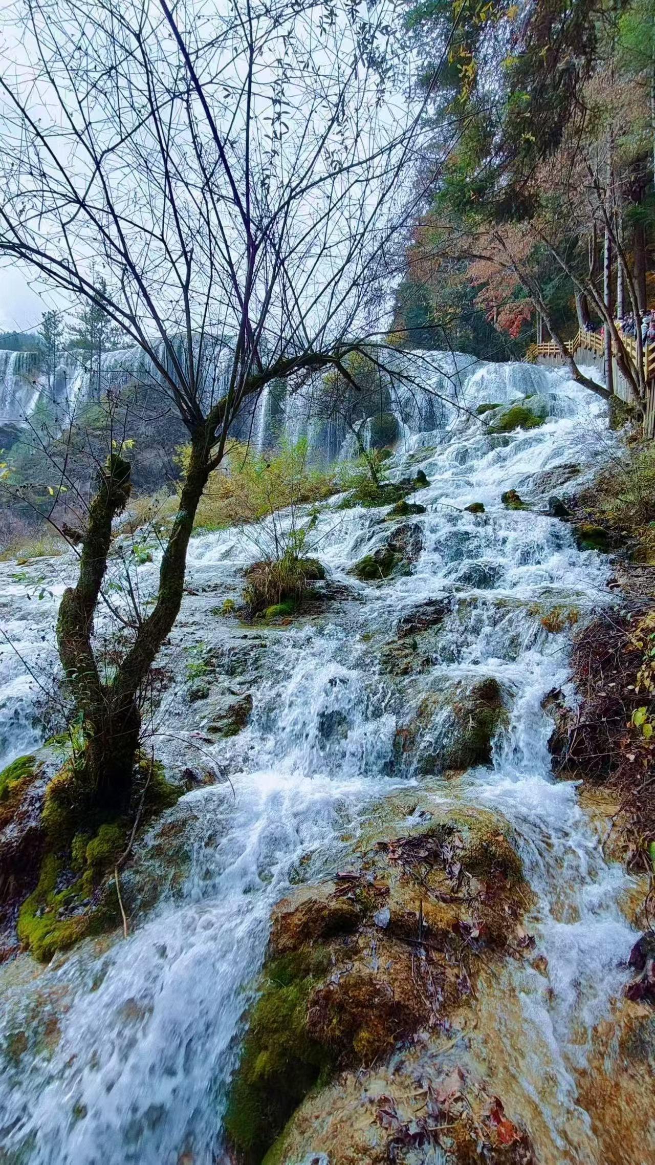 52岁的我，突然感觉活得挺失败的。我今年52退休2年了。刚退休那会儿，觉得终