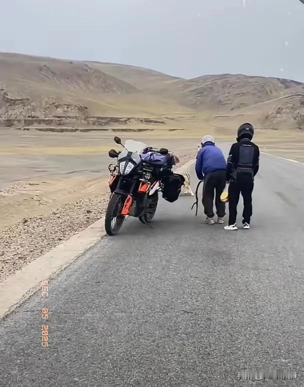 无人区国道上，俩骑摩托车的大哥正往前赶路，突然感觉背后有动静——回头一看，好家伙